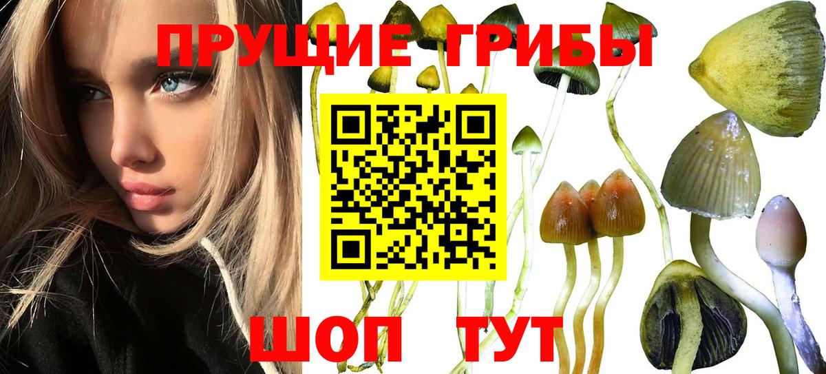 Псилоцибиновые грибы Magic Shrooms  Галлюциногенные грибы прущие грибы  Вход с VPN  Михайловск 